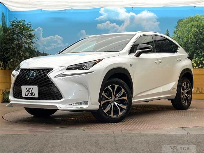2015 Lexus NX