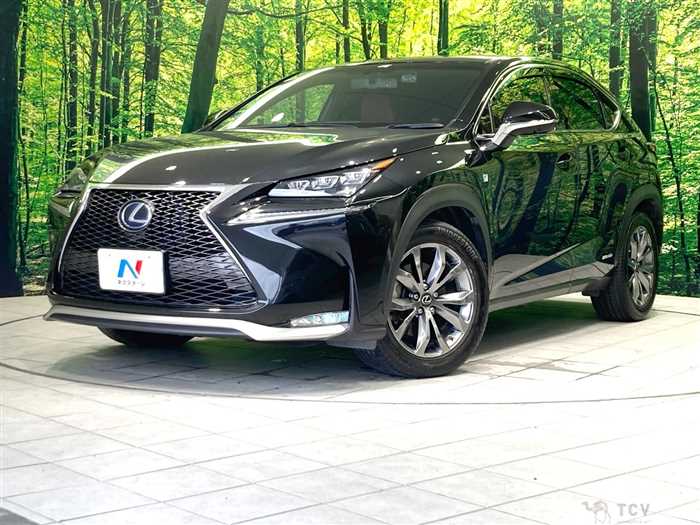 2016 Lexus NX