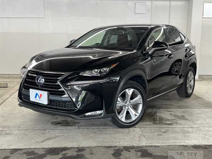 2016 Lexus NX