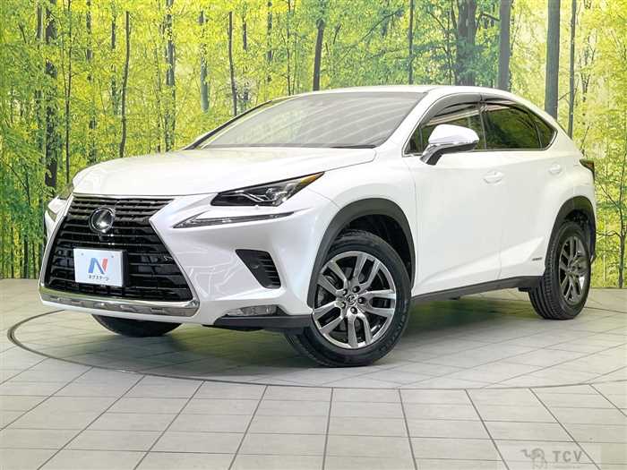 2017 Lexus NX