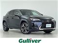 2019 Lexus UX