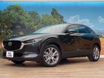 2019 Mazda Mazda Others