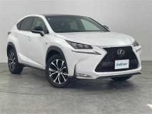2014 Lexus NX