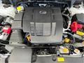 2024 Subaru Subaru Others