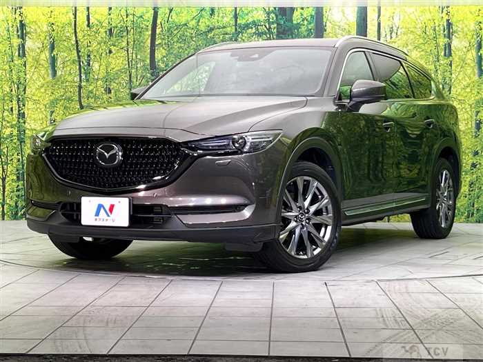 2018 Mazda CX-8
