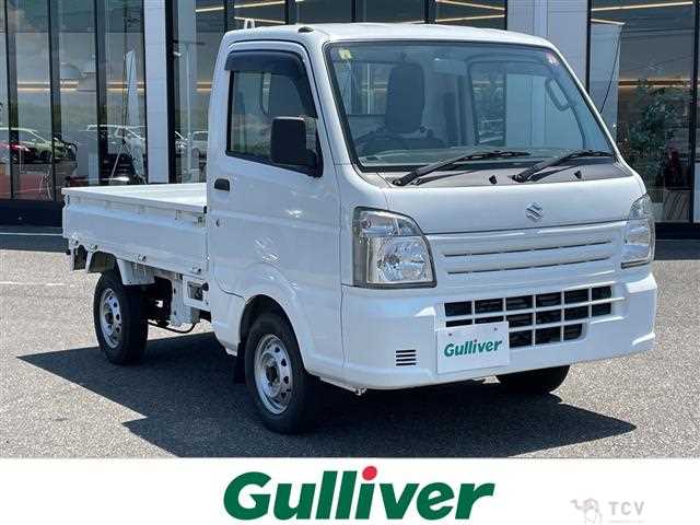 2019 Suzuki Carry Truck