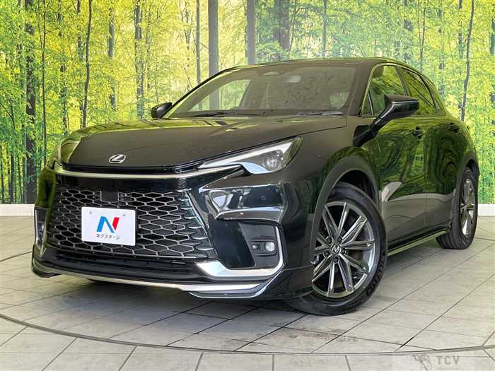 2024 Lexus Other