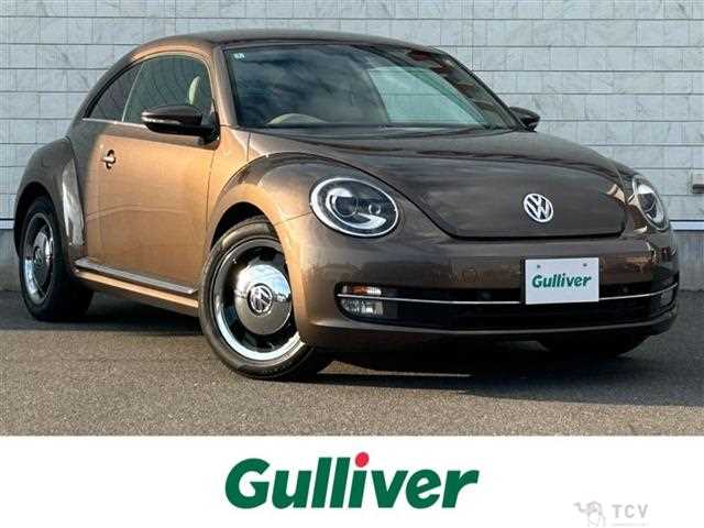 2014 Volkswagen Beetle