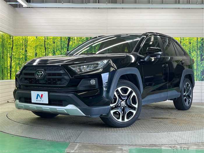 2019 Toyota RAV4