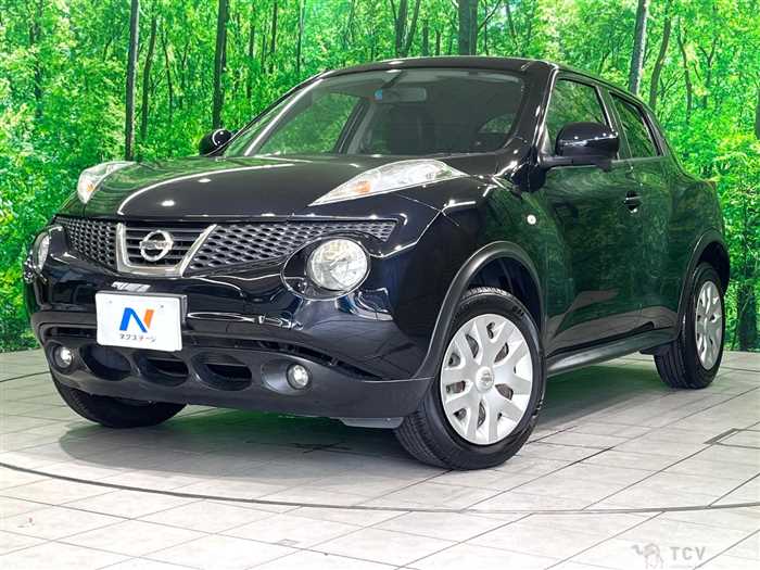 2012 Nissan Juke