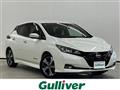 2022 Nissan Leaf