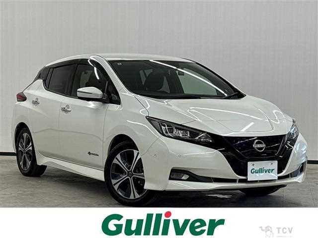 2022 Nissan Leaf