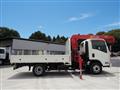 2010 Isuzu Isuzu Others
