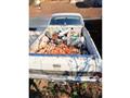 1998 GM Chevrolet Others