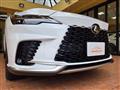 2025 Lexus RX