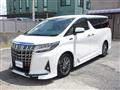 2019 Toyota Alphard G