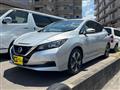 2019 Nissan Nissan Others