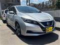2019 Nissan Nissan Others
