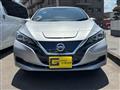 2019 Nissan Nissan Others