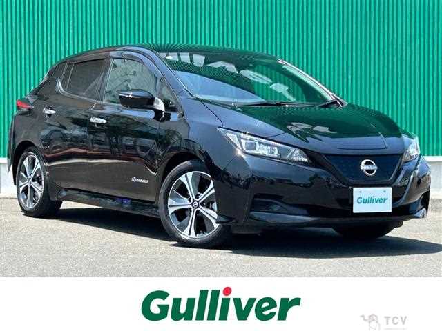 2021 Nissan Leaf