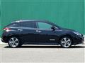 2021 Nissan Leaf
