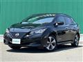 2021 Nissan Leaf