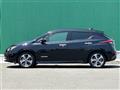 2021 Nissan Leaf