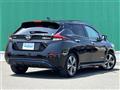 2021 Nissan Leaf