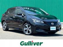 2021 Nissan Leaf