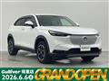 2021 Honda VEZEL