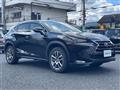 2014 Lexus NX
