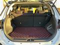 2019 Toyota Raize