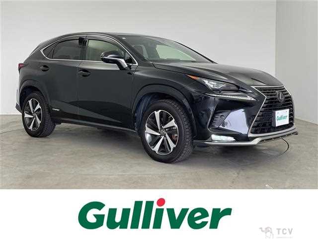2020 Lexus NX