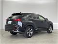 2020 Lexus NX