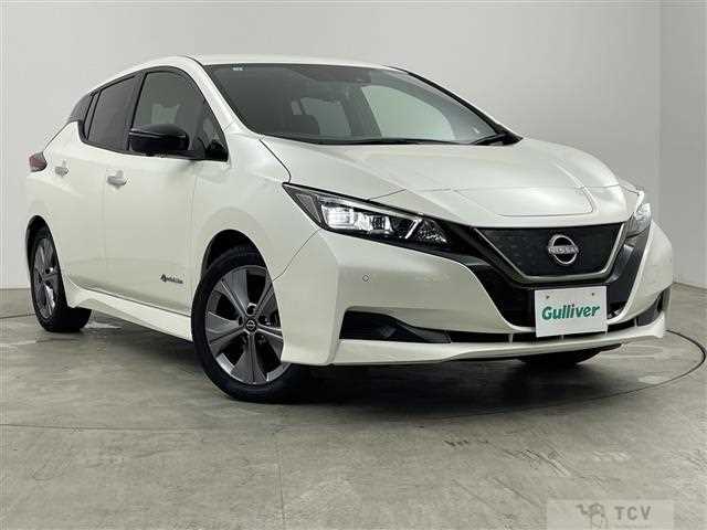 2021 Nissan Leaf