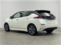 2021 Nissan Leaf