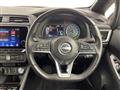 2021 Nissan Leaf