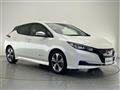 2021 Nissan Leaf