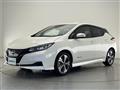 2021 Nissan Leaf