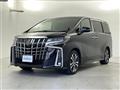 2020 Toyota Alphard