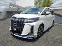 2019 Toyota Alphard G