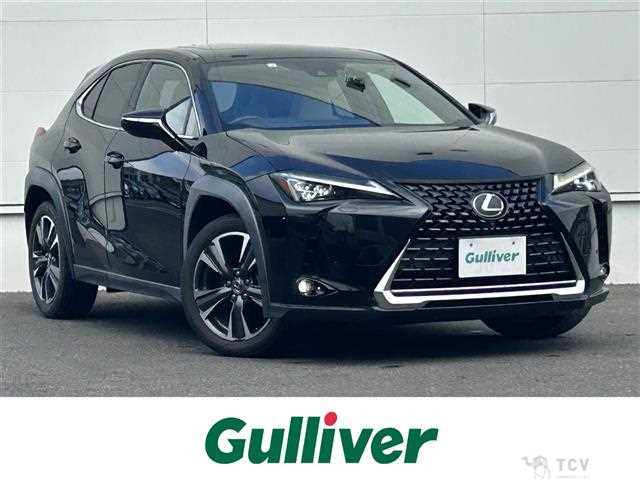 2018 Lexus UX