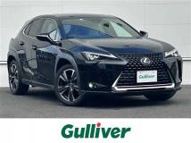 2018 Lexus UX