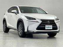 2016 Lexus NX