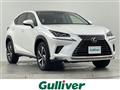 2019 Lexus NX