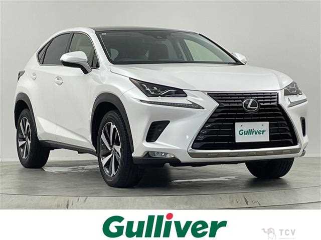 2019 Lexus NX