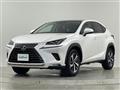 2019 Lexus NX
