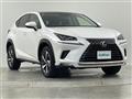 2019 Lexus NX