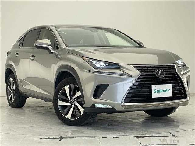 2019 Lexus NX
