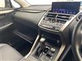 2019 Lexus NX